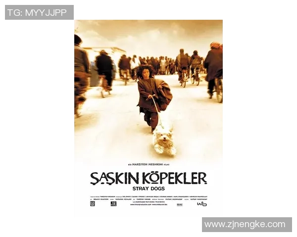 阿尔巴尼克里克与卡布尔彻激战正酣精彩瞬间回顾与分析